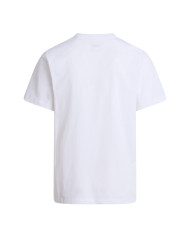 Koszulka męska The North Face M EVO SD REG SS TEE NF0A8CZ2FN4 Biała - Sklep online Mastersport