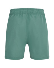 Kąpielówki męskie Reebok ACE SWIM SHORTS 71099GRN1 Zielone - Sklep online Mastersport