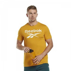 Koszulka Reebok RI BIG LOGO TEE 2XL Żółty